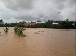 Bình Định, Phú Yên: Mưa lớn, nhiều nơi chìm trong biển nước