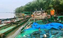 Bộ đội Biên phòng TP.HCM tạm giữ 3 sà lan khai thác cát trái phép