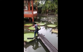 Cô gái ướt sũng khi đứng lên lá súng khổng lồ