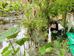 'Ôm đầu máu' vì mua đất đón đầu quy hoạch