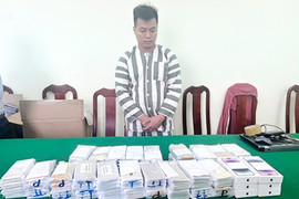 Bắt giữ người chuyển trái phép lô điện thoại iPhone trị giá 10 tỷ về Việt Nam