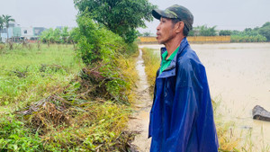 Quy Nhơn: Nỗi lo sau những ngày bị cô lập do mưa lũ