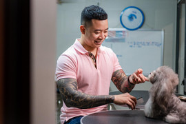 Chàng trai 8X bỏ việc văn phòng về nuôi chó, kiếm trăm triệu mỗi tháng