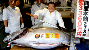 Hải sản Nhật đắt khét lẹt vẫn cháy hàng