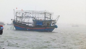 Một ngư dân rơi xuống biển mất tích khi đang đánh bắt cá ở Trường Sa