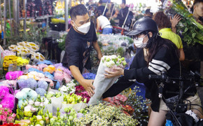 Chợ hoa lớn nhất Hà Nội nhộn nhịp trước ngày 20/10