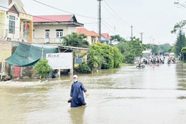 Hơn 300 nhà dân ở Quảng Bình ngập trong nước lũ, nhiều tuyến đường bị chia cắt