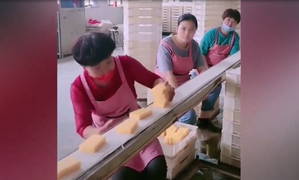 Cô gái giành hết việc khiến đồng nghiệp 'mặt ngắn tũn' vì quá nản