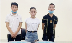 Ma túy ngụy trang bánh kẹo, tương ớt đưa từ Đức về Việt Nam
