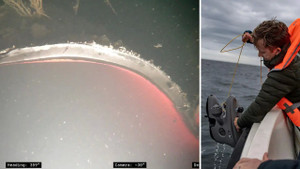 Những hình ảnh đầu tiên của Nord Stream sau sự cố: Đường ống thép bị xé toạc