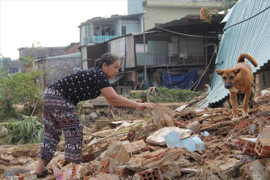 Sau lũ là… trắng tay