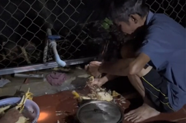 Bật dậy lúc 5 giờ sáng, con gái ở xa về rưng rưng khi thấy việc bố mẹ đang làm