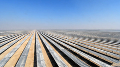 Nhà máy điện mặt trời 800 MW trên sa mạc Qatar