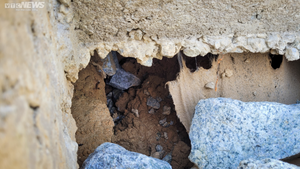 Hà Tĩnh: Dự án kè chống sạt lở 12 tỷ vừa bàn giao đã sụt lún, hư hỏng