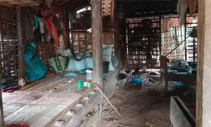 Ăn nhầm trứng cóc, 3 bố con nhập viện