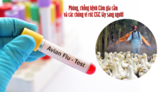 5 biện pháp phòng bệnh cúm lây từ gia cầm sang người