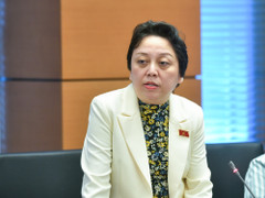 Đại biểu Quốc hội nêu 3 nguyên nhân khiến y bác sĩ nghỉ việc hàng loạt