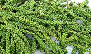 Giá tiêu hôm nay 25/10: Tiếp đà đi ngang, cao nhất ở mức 59.500 đồng/kg