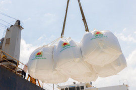 Gạo Việt đắt hàng tại thị trường EU