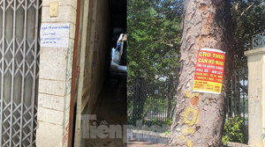 Giá tăng gấp đôi, nhà cho thuê Hà Nội 'cháy hàng'