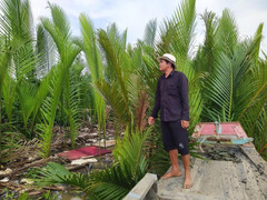 Có một 'đảo ngọc' ở Sài Gòn, nơi 'miễn nhiễm sốt đất'