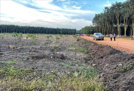 Điều tra vụ đập phá xe ô tô, dùng cuốc đánh chết chủ xe ở rẫy cao su