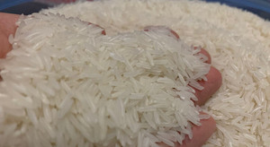 'Hạt ngọc' Việt bán được giá cao nhất, thu về gần 3 tỷ USD