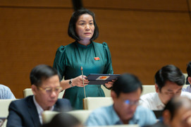 ĐBQH: Cả tỉnh Quảng Bình chỉ có 1 doanh nghiệp được vay 500 triệu đồng