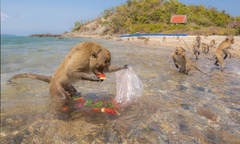 Tác giả ảnh 'Plastic' nêu thông điệp bảo vệ môi trường khiến người xem suy ngẫm