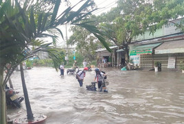 Cơ cực giữa đại đô thị trong mùa triều dâng