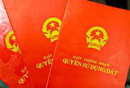 Bắt nữ doanh nhân bất động sản liên quan đường dây làm 'dịch vụ' sổ đỏ