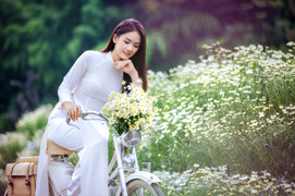 Thiếu nữ Hà thành khoe dáng bên cánh đồng cúc họa mi nở rộ