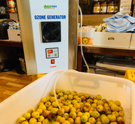 Công dụng máy ozone: Làm sạch thực phẩm, diệt khuẩn nước sinh hoạt
