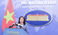 Bộ Ngoại giao thông tin việc xử lý sự cố Formosa