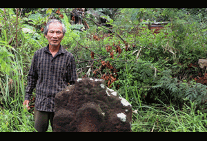 Những chuyện lạ lùng ở 'xóm cấm'