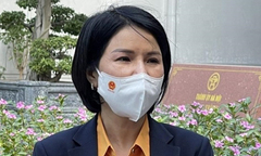 Hà Nội chạm ngưỡng 10.000 ca mắc sốt xuất huyết, giải pháp nào 'hạ nhiệt' dịch?