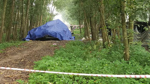 Nổ ô tô trong rừng ở TP.HCM: Danh tính tài xế tử vong 