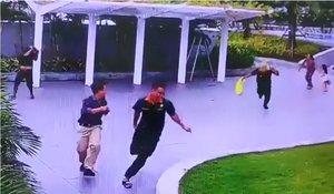 Đánh rơi tổ ong, cả đoàn chạy bán sống bán chết