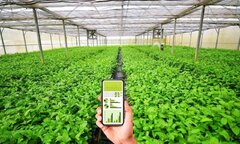 Số hoá để thúc đẩy phát triển kinh tế hợp tác, hợp tác xã