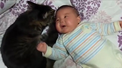 Mèo dỗ em bé nín khóc 