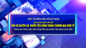 Bảo vệ quyền lợi người tiêu dùng trong thương mại điện tử