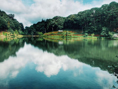 Xả stress với cảnh sắc thanh bình của ‘nàng công chúa ngủ trong rừng’ ở Kon Tum