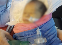 Truy tìm thân nhân của bé gái sơ sinh thiệt mạng vì bị bỏ rơi trong rừng