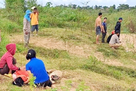 Gia Lai: Đi chăn bò, hai phụ nữ bị nước cuốn