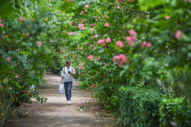 Ngắm vườn thực vật gần 2.000 loài ở Hà Nội