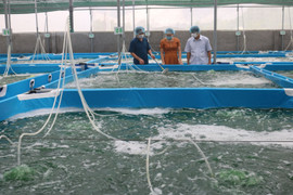 Chuyển đổi số trong các HTX nông nghiệp ở Ninh Bình