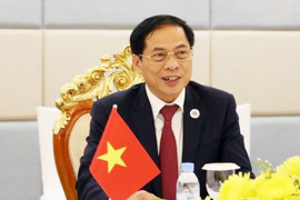 Bộ trưởng Bùi Thanh Sơn gặp Bộ trưởng Ngoại giao Nga và Ukraine