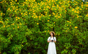 Giới trẻ nô nức check in thiên đường hoa dã quỳ tuyệt đẹp ở Thủ đô