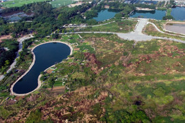 Sở Xây dựng nêu phương án 'giải cứu' loạt công viên ở Hà Nội