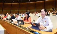 Cho phép thành lập thêm đơn vị thanh tra trong Tổng Cục, Cục thuộc Bộ